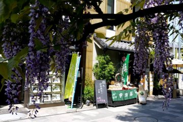 <p>Restaurants sell matcha ice-cream, and matcha noodles</p>