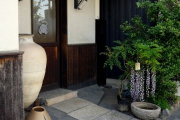 <p>Many of the shops and restaurants in the tourist area near Byodoin Temple have potted wisteria by the door</p>