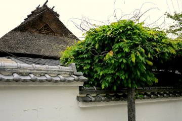 <p>Uji is an old town, and you can see the occasional thatched roof here.</p>
