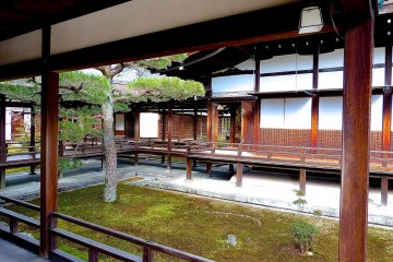 There are some smaller gardens between the corridors