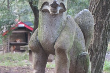 Una estatua de la reserva.