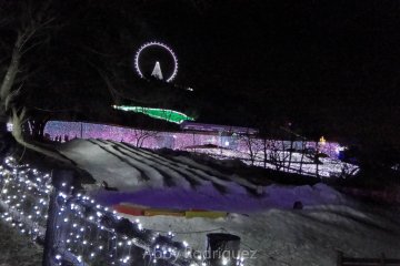 Snow slide