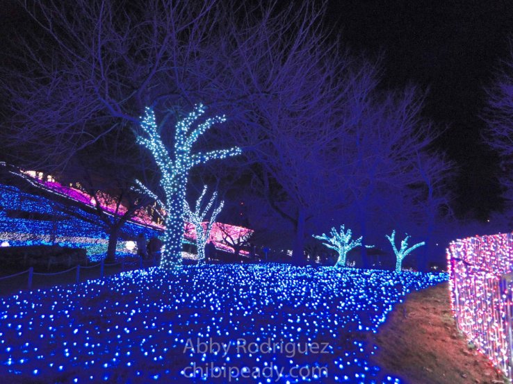 Blue Forest