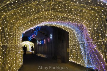 Light Tunnel