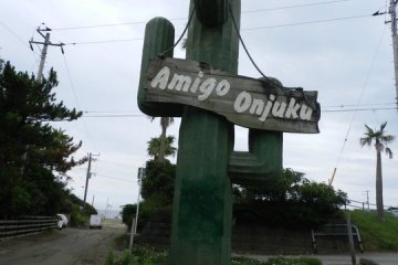 Cactus in Onjuku