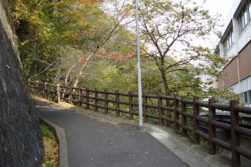 <p>Shin Kobe Station on the right and the hiking trail next to&nbsp;the&nbsp;shinkansen&nbsp;station. Shin Kobe Station is also advertised as a tourist destination in autumn.</p>