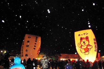 <p>The balloon may not be cat shaped, but the Hokkaido cat lights a smile amongst party goers at the Paper Balloon festival</p>