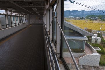 <p>On the footbridge, looking at the landscape&nbsp;</p>