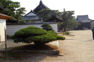 Bitchu Kokubunji