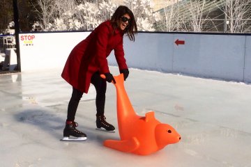 <p>Mr. orange seal was also my best friend this day</p>