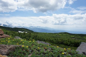 <p>One of the reasons we came here was for the diversity of nature, so diverse that the locals call this place "garden for the gods". I really envy these flowers that get such a great view 24hr.</p>

<p></p>

<p></p>

<p></p>

<p></p>

<p></p>

<p></p>
