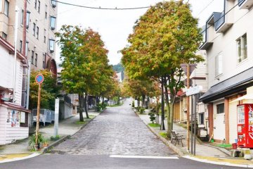 <p>หน้าตาของซอยที่สถานที่พักนี้ตั้งอยู่ เป็นทางลาดชันขึ้นเขา</p>