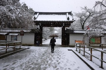 Entrance gate to Daigo Temple complex