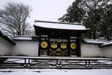 Gold decorations on an un-used gate