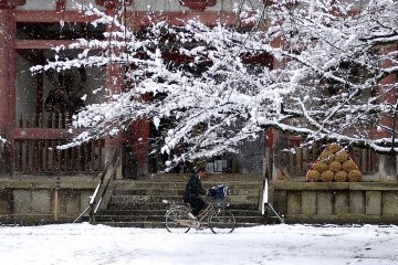 High school student struggling through the snow on a bicycle
