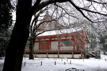Side view of Kondo Hall through the trees