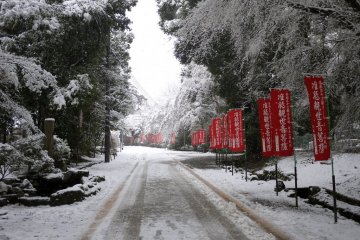 Banners for Godairiki-san, a temple event that takes place on February 23