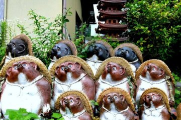 시가라키