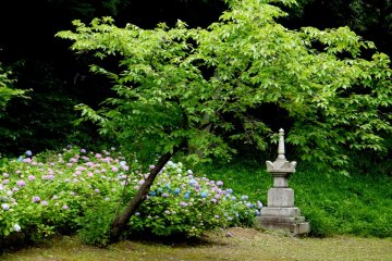 Les jardiniers de Chishaku-in ont créé de nombreux somptueux paysages ici