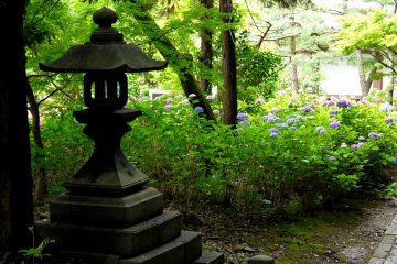 Une lanterne de pierre sous les arbres