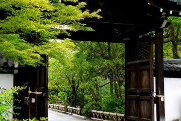 La porte d'entrée pour accèder au bâtiment Daisho-in et son jardin
