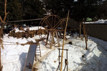 <p>Monkey habitat.</p>
