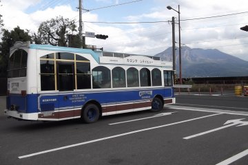 <p>Another of the buses</p>