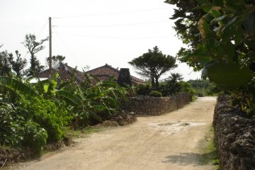Quiet street in Taketomi Village