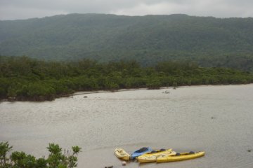 Could be the Jurassic Park Island?