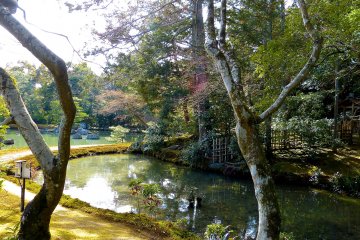 <p>Une jolie promenade le long d'un cours d'eau</p>
