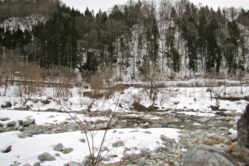 <p>Looking east across the river.</p>
