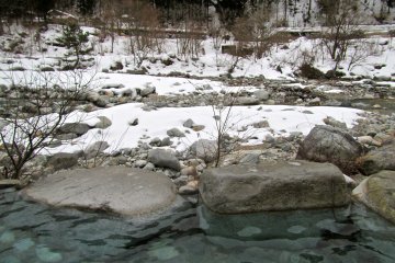 <p>Fancy a roll in the snow?</p>