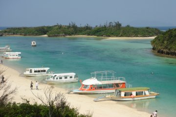 Glass-bottom boats allow for a close-up view under water.