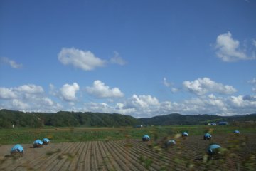 Road trip through Hokkaido countryside.
