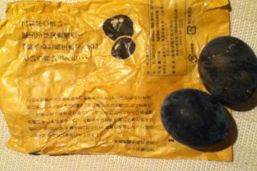 Egg Wrapper, Back