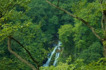 <p>From the observation deck overlooking Kirifuri Falls.</p>