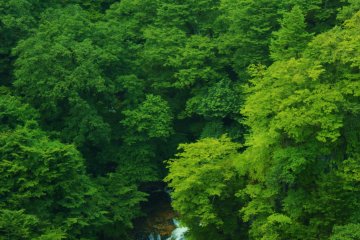 <p>From the observation deck overlooking Kirifuri Falls.</p>