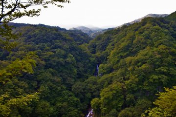 <p>From the observation deck overlooking Kirifuri Falls.</p>