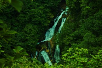 <p>From the observation deck overlooking Kirifuri Falls.</p>