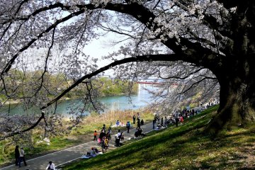 <p>A path runs beside the river</p>