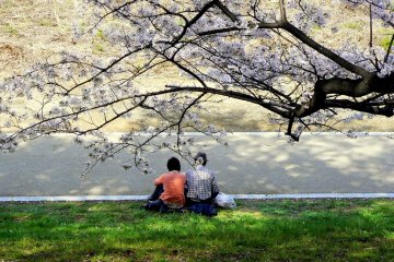 <p>A couple sit on the grass beside the path</p>