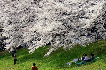 <p>A truly idyllic setting</p>