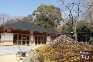 <p>There's a little flowery Mount Fuji to admire</p>