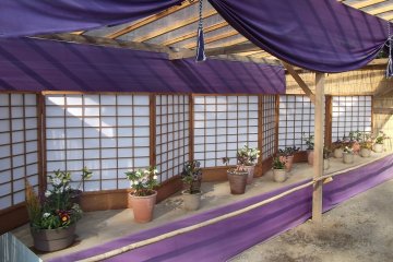 <p>When I visited there was also a bonsai display</p>