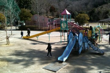 The main play area