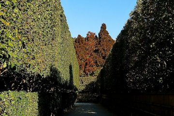 <p>Hedge-lined path leading to Ginkaku</p>