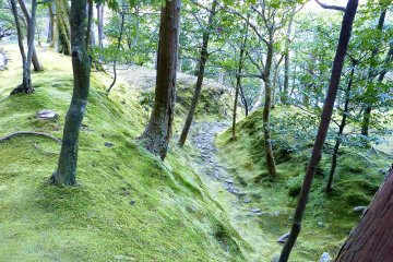 <p>Part of the upper garden</p>