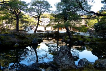 <p>Most of the good-looking pine trees and rocks here were originally taken from other temples and gardens</p>