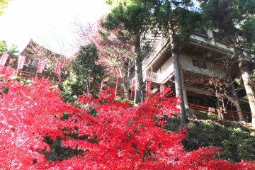 <p>Looking up at&nbsp;Oyama&nbsp;Temple on a beautiful autumn day</p>