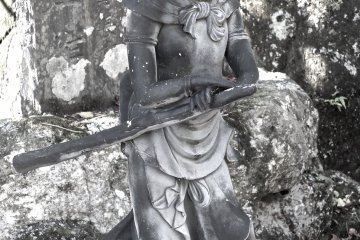 <p>This one is really unique, and seems to be carrying a sword</p>
